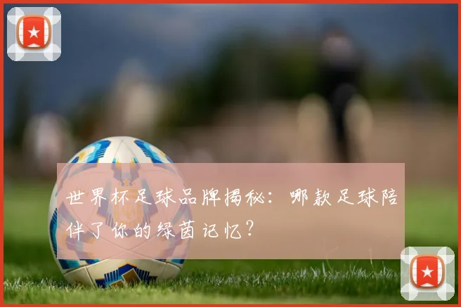 世界杯足球品牌揭秘：哪款足球陪伴了你的绿茵记忆？