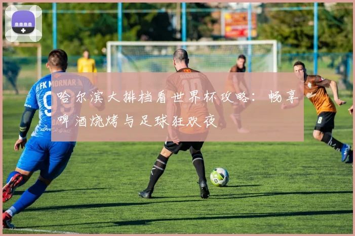 哈尔滨大排档看世界杯攻略：畅享啤酒烧烤与足球狂欢夜