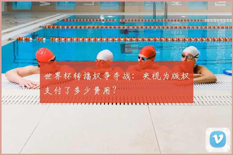 世界杯转播权争夺战:央视为版权支付了多少费用?
