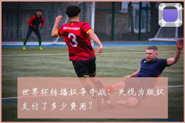世界杯转播权争夺战:央视为版权支付了多少费用?