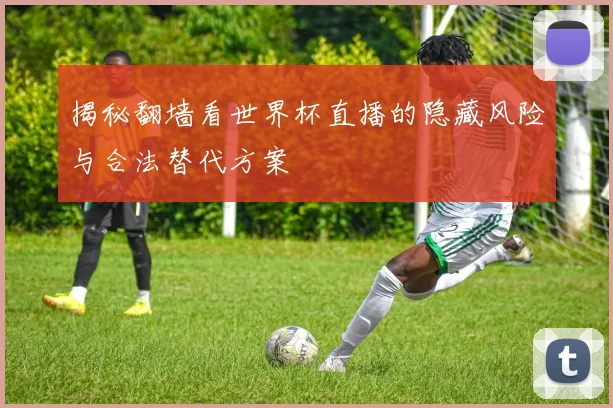 揭秘翻墙看世界杯直播的隐藏风险与合法替代方案