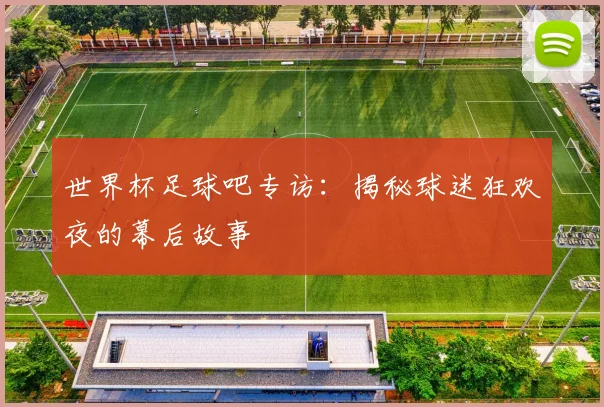 世界杯足球吧专访：揭秘球迷狂欢夜的幕后故事