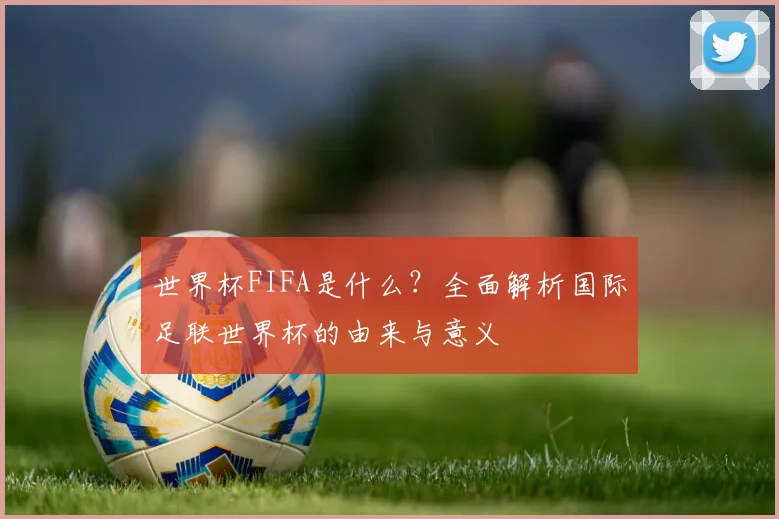 世界杯FIFA是什么?全面解析国际足联世界杯的由来与意义