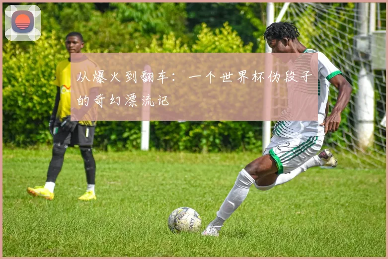 从爆火到翻车：一个世界杯伪段子的奇幻漂流记